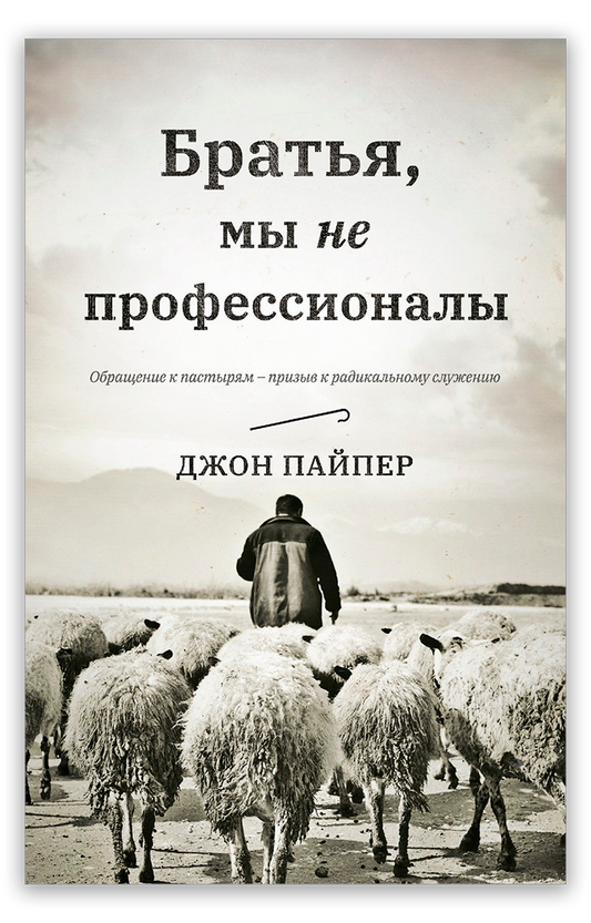 Братья, мы не профессионалы